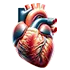 Cardiology-Medical-Billing-Services-(1)