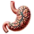 Gastroenterology icon