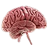 Neurosurgery