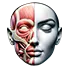 Plastic Surgery
