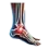 Rheumatology-Billing-Services-qiow1gue7c20pdoalutiqj5y82n1hbobth800qiole
