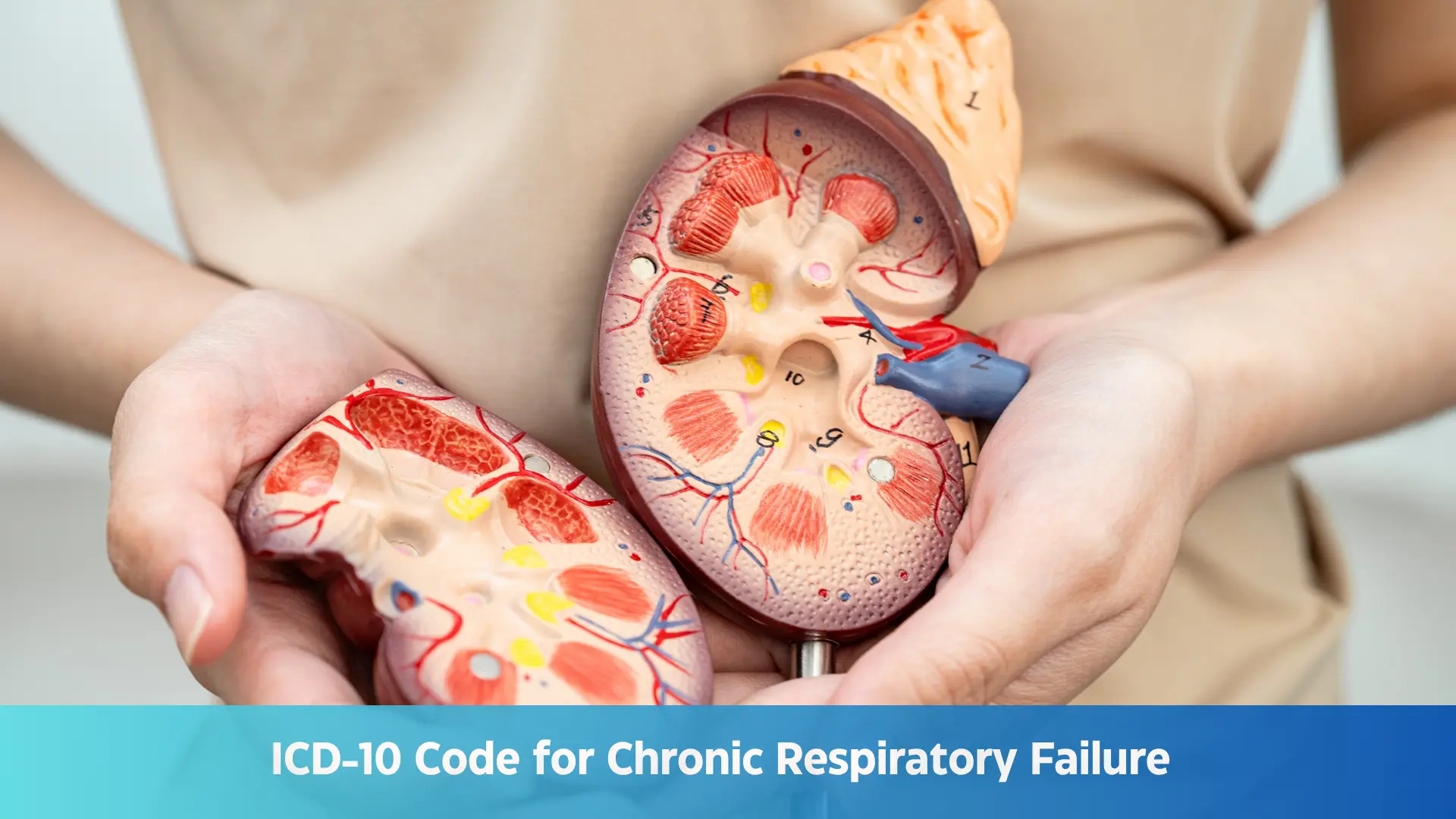 ICD-10 Code for Chronic Respiratory Failure J96.1x