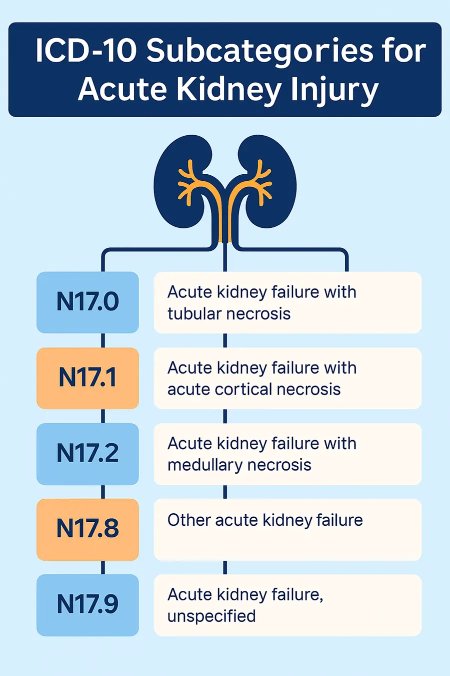 ICD-10 subcategories for acute kidney injury.
