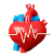 Cardiology and Vascular Precision Coding